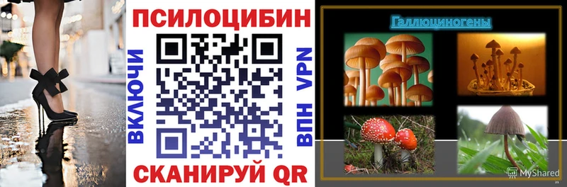 Псилоцибиновые грибы прущие грибы  гидра   Себеж  площадка как зайти  наркота 